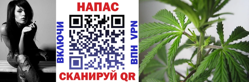 Канабис SATIVA & INDICA  Голицыно 